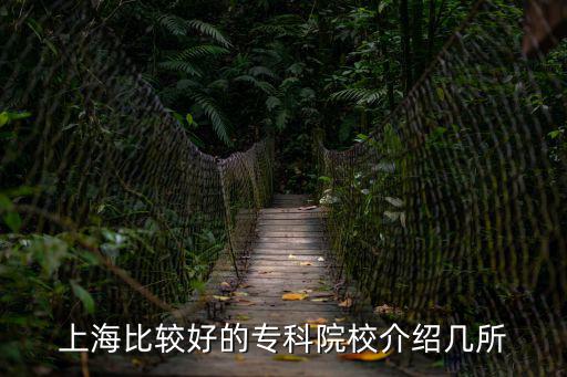 上海比較好的?？圃盒＝榻B幾所