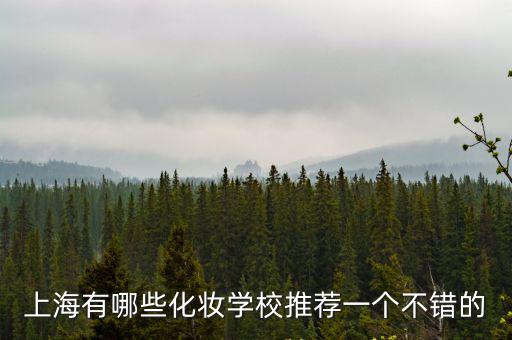 上海有哪些化妝學校推薦一個不錯的