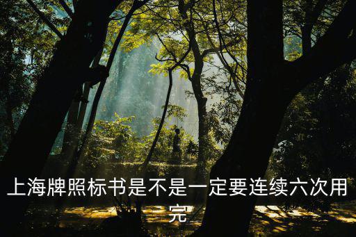 上海牌照標(biāo)書(shū)是不是一定要連續(xù)六次用完