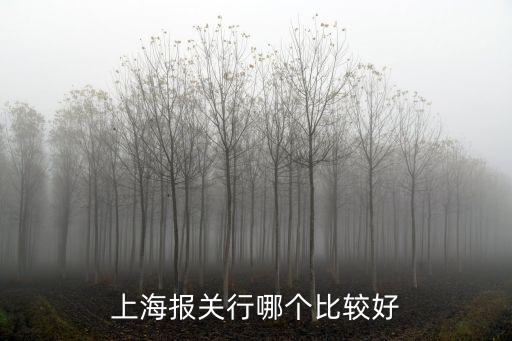 上海報關行，大家知道上海的報關行哪家好些呢謝謝