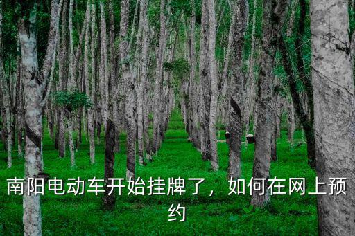 南陽電動車開始掛牌了，如何在網上預約