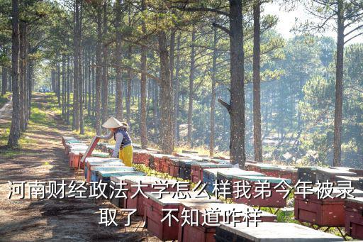 河南財經政法大學怎么樣好不好,河南財經政法大學怎么樣