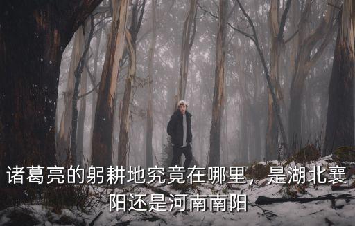 諸葛亮的躬耕地究竟在哪里，是湖北襄陽還是河南南陽