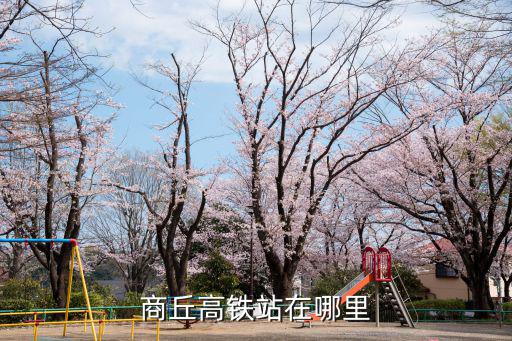 商丘高鐵站在哪里