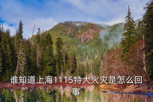 誰知道上海1115特大火災是怎么回事