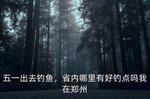 五一出去釣魚，省內哪里有好釣點嗎我在鄭州