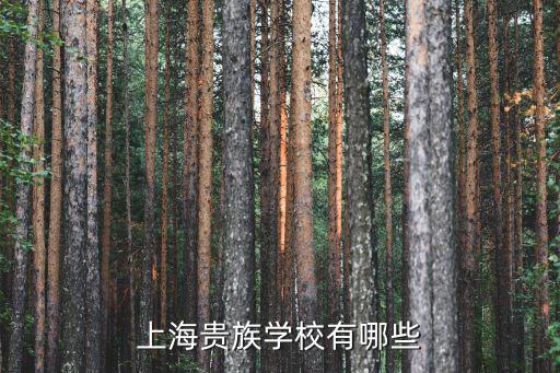 上海貴族學(xué)校有哪些