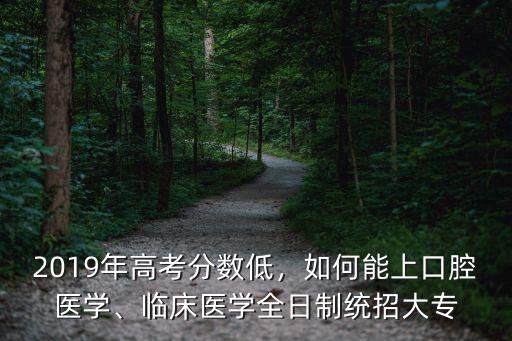 2019年高考分數低，如何能上口腔醫學、臨床醫學全日制統招大專