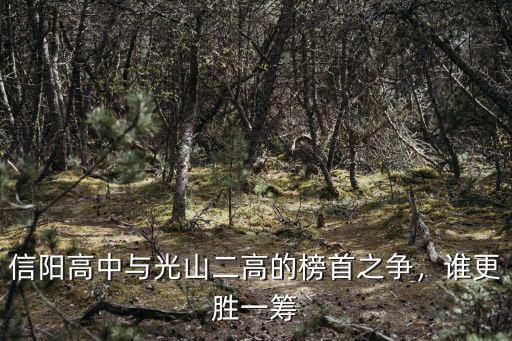 信陽高中與光山二高的榜首之爭，誰更勝一籌