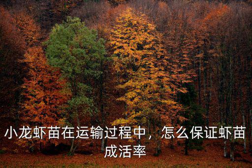 小龍蝦苗在運輸過程中，怎么保證蝦苗成活率