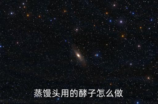 蒸饅頭用的酵子怎么做