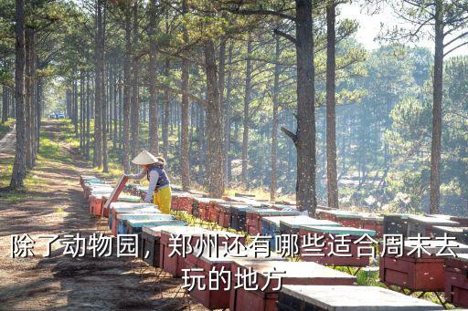 鄭州的周末哪里去,鄭州自駕游去哪玩比較好
