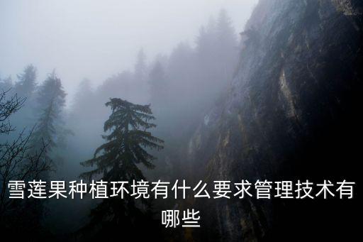 雪蓮果種植環境有什么要求管理技術有哪些