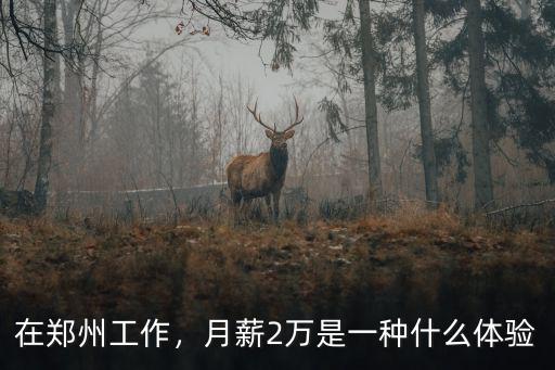 在鄭州工作，月薪2萬是一種什么體驗