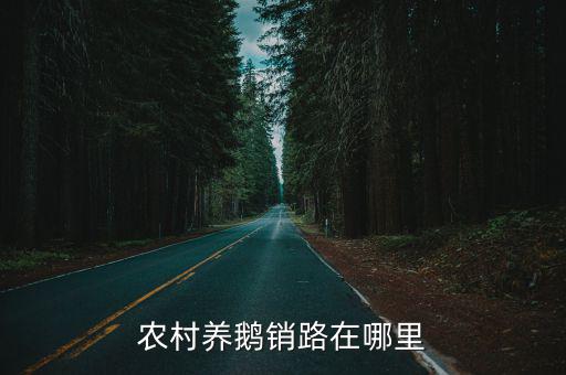 農村養鵝銷路在哪里