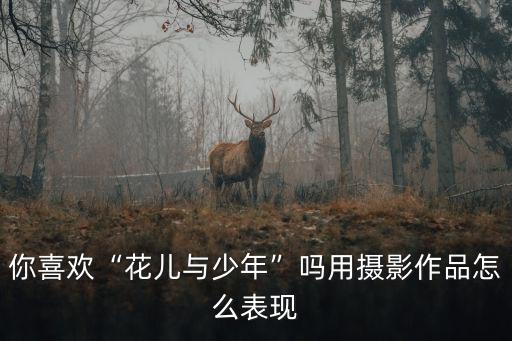 駐馬店花兒攝影怎么樣,攝影如何拍攝各色花兒次第開