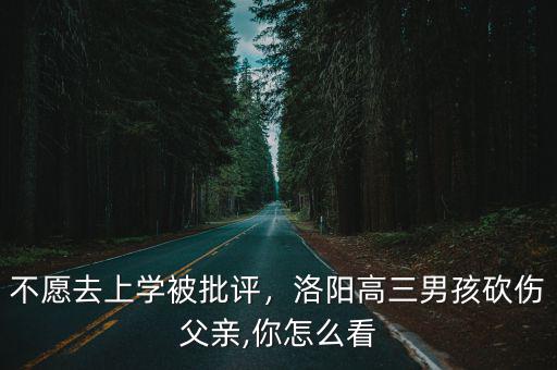不愿去上學(xué)被批評，洛陽高三男孩砍傷父親,你怎么看