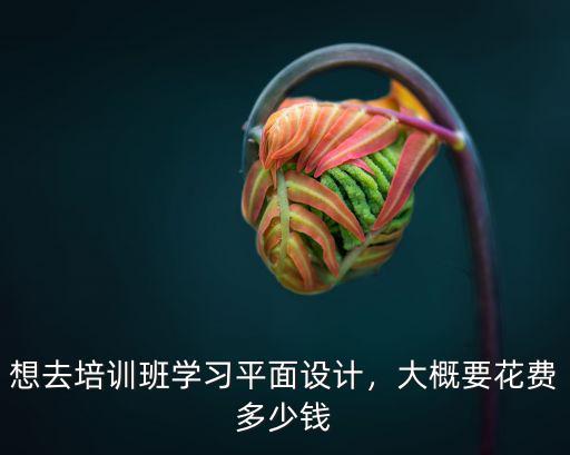 想去培訓班學習平面設計，大概要花費多少錢