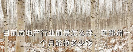 目前房地產行業前景怎么樣，在鄭州一個月能掙多少錢