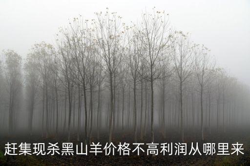 南陽哪里黑山羊,哪里有薩能黑山羊