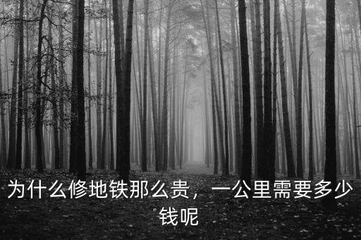 為什么修地鐵那么貴，一公里需要多少錢呢