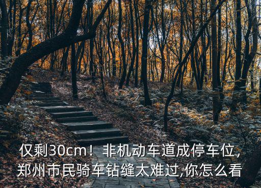 鄭州汽車停車位占多少,非機動車道成停車位