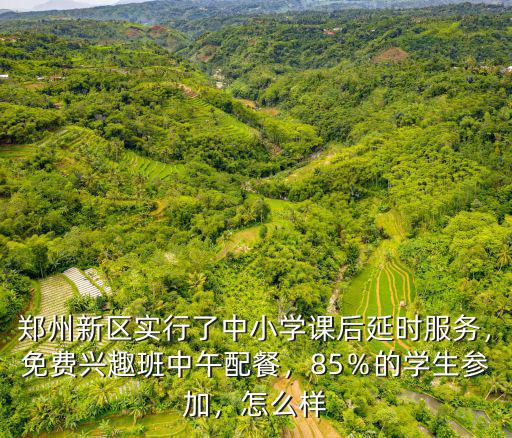 鄭州新區實行了中小學課后延時服務，免費興趣班中午配餐，85％的學生參加，怎么樣