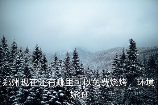 鄭州現在哪里還有,鄭州現在那還有都市村