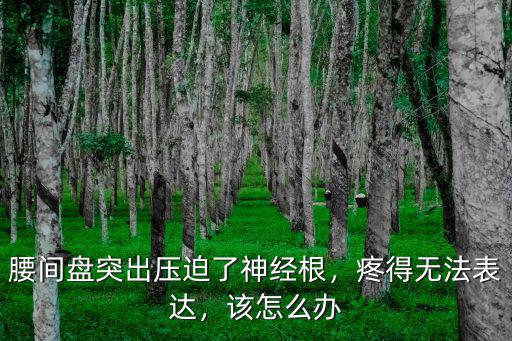 腰間盤突出壓迫了神經根，疼得無法表達，該怎么辦
