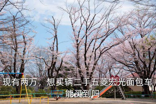 現有兩萬，想買輛二手五菱宏光面包車，能買到嗎