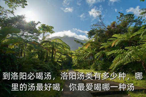洛陽多少種湯,洛陽到底有多少種湯
