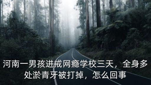 河南戒網(wǎng)學(xué)校怎么選,河南戒網(wǎng)癮學(xué)校毆打?qū)W生時(shí)間