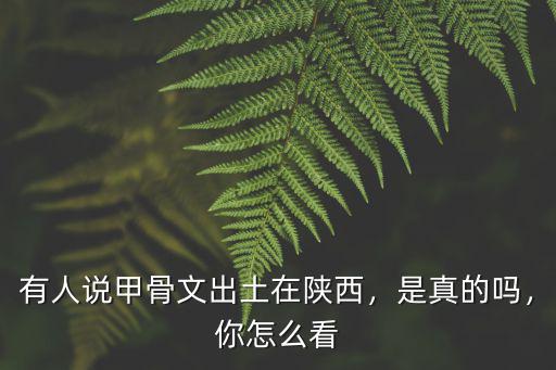 有人說甲骨文出土在陜西，是真的嗎，你怎么看