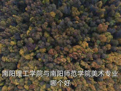 南陽理工學院與南陽師范學院美術專業哪個好