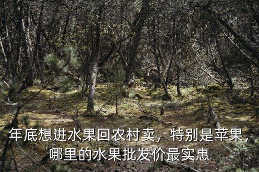 濮陽做水果批發哪里最便宜,哪里的水果批發價最實惠