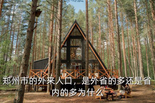 河南的外省人口多少,是外省的多還是省內的多