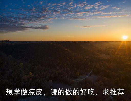 河南哪里有學涼皮的好地方,涼皮哪里的最正宗