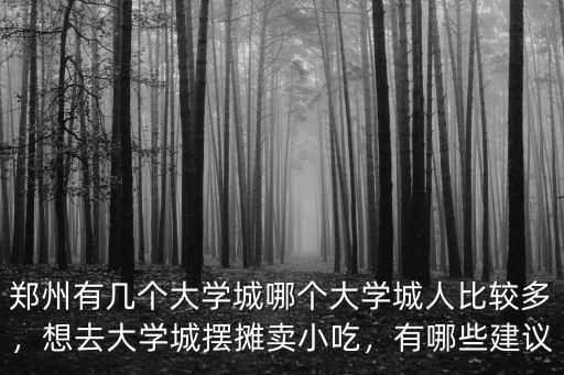 鄭州有幾個(gè)大學(xué)城哪個(gè)大學(xué)城人比較多，想去大學(xué)城擺攤賣小吃，有哪些建議
