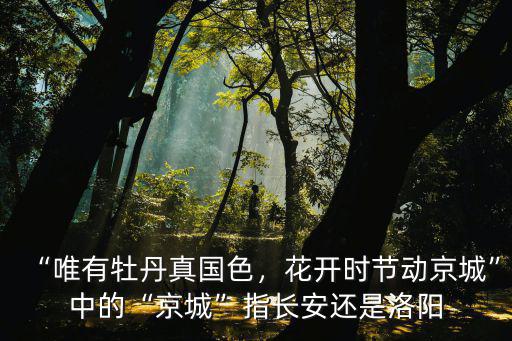 “唯有牡丹真國色，花開時節動京城”中的“京城”指長安還是洛陽