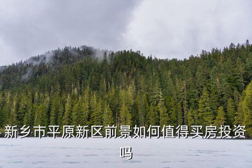 新鄉市平原新區前景如何值得買房投資嗎