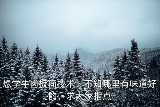 周口哪里學板面,哪里可以學習牛肉板面技術
