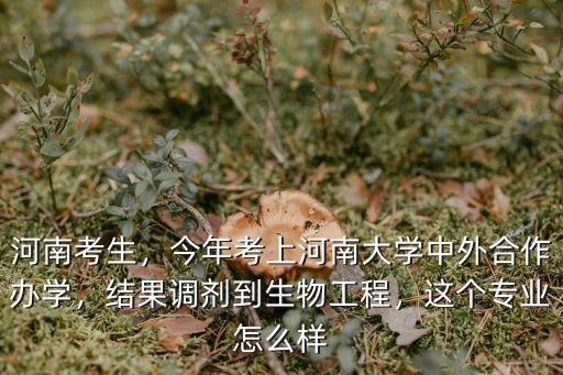 河南考生，今年考上河南大學中外合作辦學，結果調劑到生物工程，這個專業怎么樣