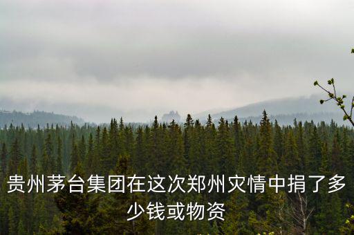 貴州茅臺(tái)集團(tuán)在這次鄭州災(zāi)情中捐了多少錢或物資