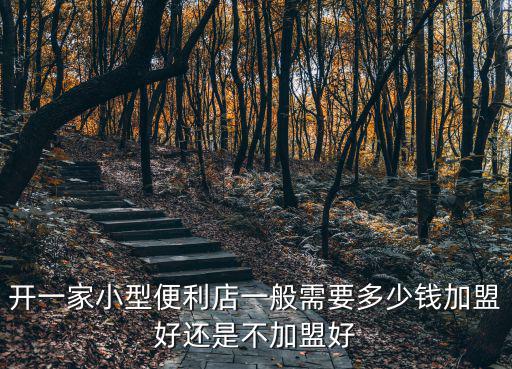 開一家小型便利店一般需要多少錢加盟好還是不加盟好