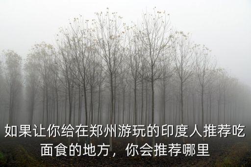 如果讓你給在鄭州游玩的印度人推薦吃面食的地方，你會推薦哪里