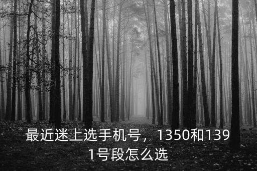 最近迷上選手機號，1350和1391號段怎么選