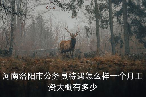 河南洛陽市公務員待遇怎么樣一個月工資大概有多少