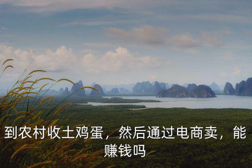 平頂山哪里收土雞蛋,到農(nóng)村收土雞蛋