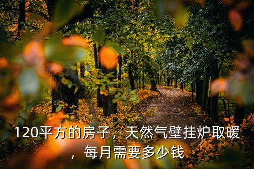 濮陽(yáng)120平米房子一個(gè)月多少錢,每月需要多少錢