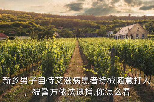 新鄉男子自恃艾滋病患者持械隨意打人，被警方依法逮捕,你怎么看